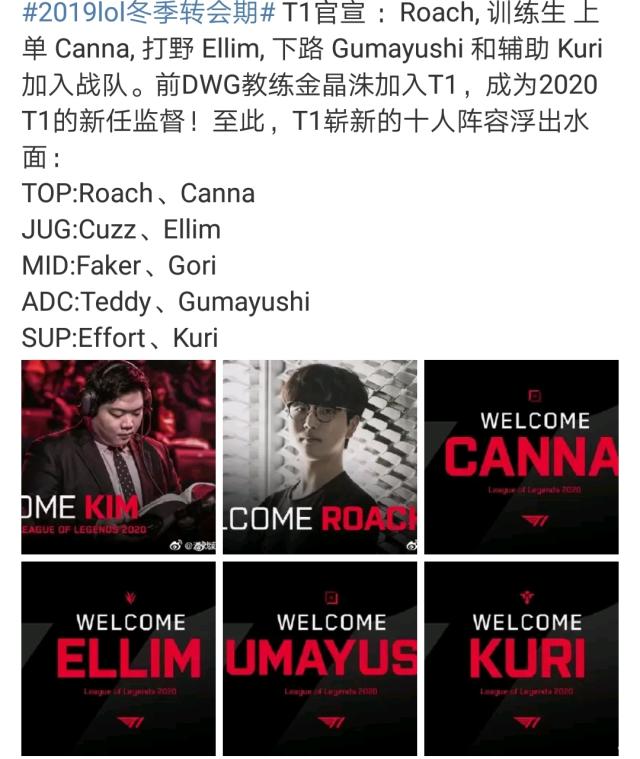 尝试多样化 尝试多样化