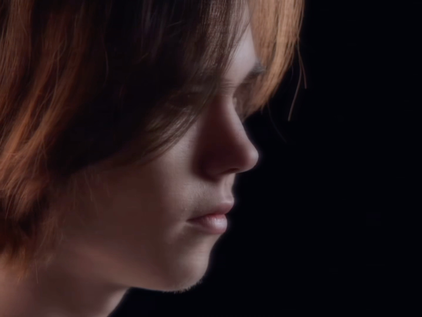 提出了更多 提出了更多